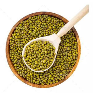 Meilleur Choix et Meilleures Remises Haricots Mungo Verts Séchés de Qualité Supérieure en Vrac Nettoyés Qualité Export - Product Image 2