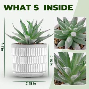 Set di 2 Piante Grasse Artificiali Estetiche, Cactus Finti per Arredamento Casa, Soggiorno, Bagno, Camera da Letto, Decorazione Scaffali - Product Image 5