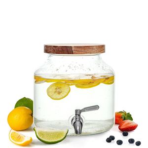 Dispenser per Bevande in Vetro da 1,5 Galloni, Confezione da 2, Dispenser per Succhi e Birra in Acrilico, Refrigerazione a Ghiaccio, Filtro Riutilizzabile, Capacità 6L/3L - Product Image 4
