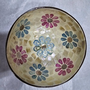 ชามมะพร้าวเคลือบสารเคลือบเงาหอยมุกแบบใช้แล้วทิ้งพลาสติกสำหรับจัดแสดงอาหารใช้ตกแต่งโดยตรงจากโรงงานเป็นมิตรกับสิ่งแวดล้อม - Product Image 5