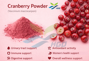 Suministro directo de fábrica de HGO de polvo de arándano natural puro (grado alimenticio) Especificación de polvo de fruta (polvo de fruta o vegetal) - Product Image 3