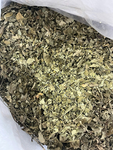 Hojas de Curry Secas Enteras, Especias Aromáticas para Curry en Polvo, Condimento Herbal y Cocina Global - Product Image 6