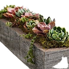 ARTESANÍA maceta de madera Wishing Well maceta decoración de jardín de patio trasero macetas de madera creativas macetas de flores de corteza jardín - Product Image 4