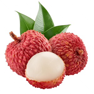 Lichi Congelado de Vietnam - Mejor Precio, Suministro al por Mayor 2026 - Product Image 1