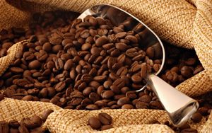 USDA & ISO Certified Organic Robusta Roasted and Ground Coffee, Vietnam Supplier, Top Grade, Crop New Season - Product Image 6