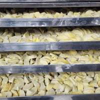 Groothandel Natuurlijk Gedroogde Durian – Knapperige Durian Fruitstukjes voor Importeurs, Retailers en Distributeurs