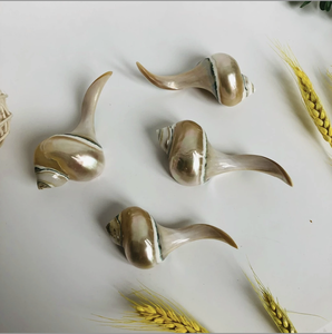 Reposapalillos Artesanal de Concha Marina de Vietnam, Accesorio de Comedor de Concha Natural Genuina para el Mercado de Exportación - Product Image 2