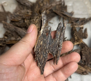 Chips de Madera de Oud Premium de Vietnam para Incienso, Aromaterapia y Elaboración de Perfumes - Agarwood de Vietnam con Alto Contenido de Resina - Product Image 2