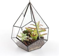 Nouveau terrarium géométrique en verre cristal de style vintage, forme dôme, pour la maison, le jardin, la table, le meilleur cadeau pour les amateurs de plantes