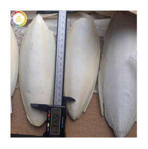 Hueso de Sepia Seco Estándar de Exportación para Nutrición Aviar y Accesorios para Aves de Jaula a Granel - Product Image 1