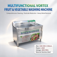 vortex fruit- en groentewasmachine, ozonontsmetting, commercieel gebruik