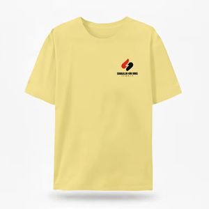 T-shirt pour homme en coton 100% à porter au quotidien, manches courtes, col rond, doux, respirant, léger, logo personnalisé, vente en gros, tee-shirt en vrac - Product Image 1