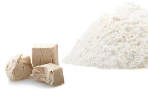 Poudre d'Isolat de Protéine de Levure 100% Pure, Concentrée, d'Origine Végétale, Haute Pureté, Durée de Conservation de 24 Mois, Optimiseurs Nutritionnels FitTree - Product Image 2