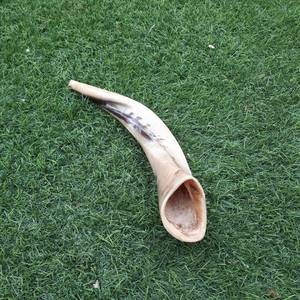 Shofar de cuerno de carnero pulido a mano, de la India, completamente pulido, de 12 a 14 pulgadas, para sonar. - Product Image 3