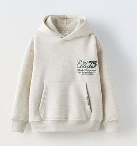 Sweat à capuche polaire décontracté pour homme, style vintage, doublé, motif dessin animé sur le devant, grande taille, pour la gym et le fitness, en Spandex/Polyester, séchage rapide, faible MOQ, livraison rapide - Product Image 2