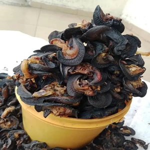 Mejillones cocidos congelados IQF con concha, mariscos para catering y servicios de alimentación - Product Image 5