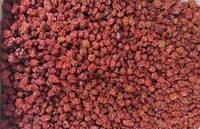 Piment rouge cerise Dalle Khursani de qualité export, emballé sous vide, SHU 1,5 M-3 M, étiqueté GI, provenant du Sikkim, Inde, piment fort