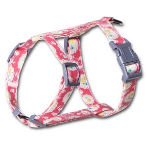 Resistente Pettorina e Guinzaglio per Gatti Radi Claw con Cavo, Set per Animali Domestici - Product Image 2