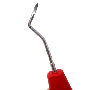 Ensemble d'élévateurs dentaires en acier inoxydable de haute qualité pour cliniques – Outils ergonomiques manuels de précision pour l'extraction racinaire droite - Product Image 5