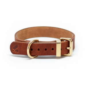 Collar de perro de cuero Premium de alta calidad, collar de mascota duradero ajustable, adecuado para cachorros pequeños, medianos y grandes - Product Image 5