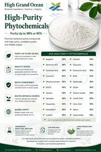 โรงงาน HGO จัดจำหน่ายโดยตรง ผงสารสกัดจากอัลมอนด์ขมบริสุทธิ์จากธรรมชาติ (เกรดอาหาร) 98% (สารสกัดมาตรฐาน) - Product Image 2