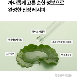เซรั่มดูแลผิว100มล. Centella calming shot CICA จากเกาหลี K-Beauty - Product Image 5
