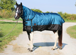 Wholesale Equestrian Equine Equipment NP Fitting Horse Fleece Rug Horses Blanket <b>Set</b> Hors Riding Products - Product Image 4