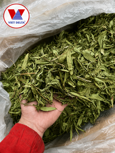 Hojas de Stevia Secas de Vietnam para Exportación, Bolsa Kraft de 100g para Infusión de Té e Ingredientes para Bebidas Saludables - Product Image 1