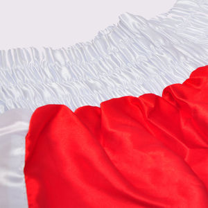 Fabricant de shorts de boxe en Europe |   Usine de vêtements Ring Apparel de haute qualité - Product Image 3