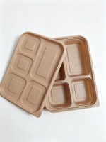 Boîtes jetables compostables en fibre de bambou robustes avec couvercles sécurisés, alternative au plastique pour les contenants alimentaires