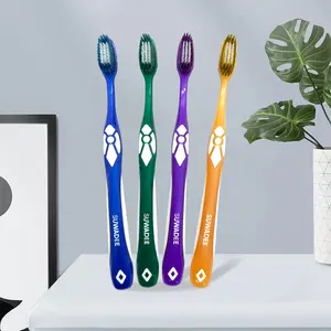2024 novo conjunto de escovas de dentes personalizadas com cerdas de nylon Hoathai Plástico