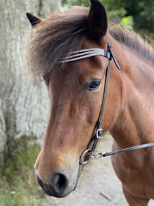 Cabeza de cuero Ecuestre para montar a caballo, diseño inteligente de alta calidad, color blanco, cristal, negro, cuero, brida islandesa - Product Image 3