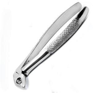 Forceps dentaires n°33 pour extraction dentaire, en acier inoxydable chirurgical, outil réutilisable, équipement professionnel, vente en gros, extraction dentaire - Product Image 2