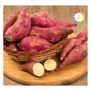 Patates douces surgelées vapeur IQF, coupées en tranches, couleur naturelle, prêtes à cuire pour frites, soupes, desserts, transformation alimentaire, approvisionnement en vrac, qualité export - Product Image 3