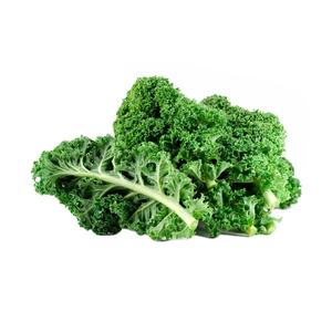 Venta caliente de alta calidad 100% Pure Bulk Organic Freeze-dried <span class=keywords><strong>Collard</strong></span> Greens para la exportación - Product Image 2
