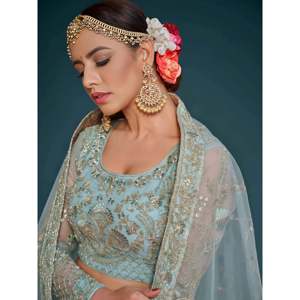 <b>Wedding</b> Wear Plus Size Embroidered Net Lehenga Choli in Sky Blue - Product Image 3