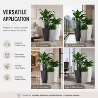 Jardinière géométrique haute et moderne pour l'intérieur et l'extérieur, idéale pour les centres de jardinage, la vente en gros, la présentation en magasin et la décoration des espaces commerciaux