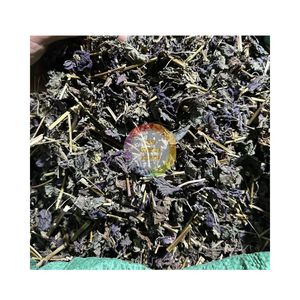 Venta B2B de Hoja de Perilla Seca, Perilla Frutescens, Hoja de Shiso, Ingrediente Botánico Natural para Té y Aditivos Culinarios - Product Image 1