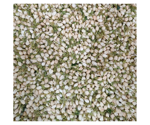 Proveedor de Flores de Jazmín Secas Naturales de Vietnam - Venta al por Mayor de Flores Herbales para Procesamiento de Pedidos al por Mayor - Product Image 3
