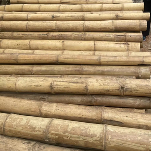 Varas de Bambú Natural Rectas de Calidad de Exportación de Vietnam, Venta al por Mayor - Product Image 1