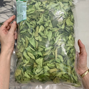 Hojas de Limón Kaffir Frescas Premium 100% Naturales, Grado Alimenticio, Venta al por Mayor, OEM, Marca Privada, Proveedor de Vietnam, 12 Meses de Vida Útil - Product Image 2