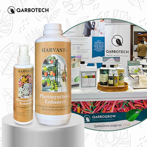 Plant Aesthetic Enhancement Spray Harvast Plus Biological Fertilizer 99% Purity for Ornamental Crops Malaysia Export - Product Image 2