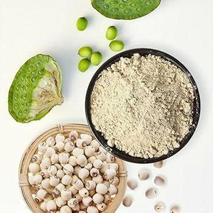 Poudre de lait de graines de lotus de qualité supérieure en gros, poudre de lait de graines de lotus en marque privée, poudre de boisson aux graines de lotus ANGLE - Product Image 3