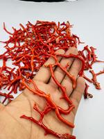 Perles de corail rouge italien brutes en forme d'arbre, pierres précieuses naturelles de haute qualité pour la fabrication de bijoux, lot en gros