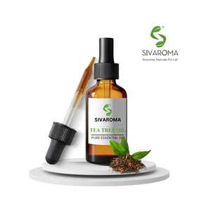 Huile Essentielle de Théier Premium pour Soins Personnels, Mélanges Aromatiques, Formulations Cosmétiques et Approvisionnement Global en Gros - Product Image 1