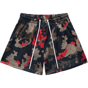 <b>Men</b> Mesh <b>Shorts</b> Sublimation Print Graphic Street Pattern <b>Lightweight</b> Casual Gym <b>Shorts</b> - Product Image 2