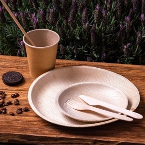 Elegantes Platos de Hoja de Palma, Vajilla Desechable Ecológica Premium, 8 Pulgadas, Forma Redonda, para Pizza, Sándwiches, Compostable, para Fiestas - Product Image 1