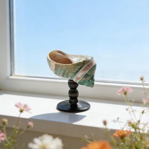 Verre à vin élégant en forme de coquillage, une addition à toute collection de verrerie, inspiré par la beauté naturelle de l'océan. - Product Image 3