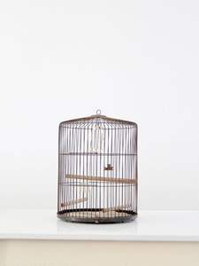 Jaula para Pájaros de Metal de Primera Calidad con Bandeja Extraíble, Estructura de Hierro Resistente para Uso en Interiores y Exteriores, Decorativa y para Alojar Mascotas - Product Image 5