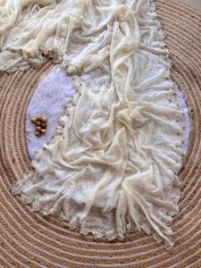 Sari de seda georgette pura con bordado de hilo de viscosa y ribete hecho a mano con una hermosa blusa de seda cruda. - Product Image 6